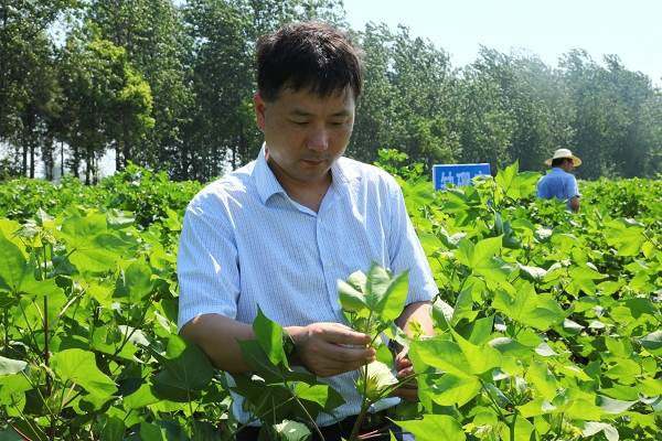陆宴辉工作照.jpg