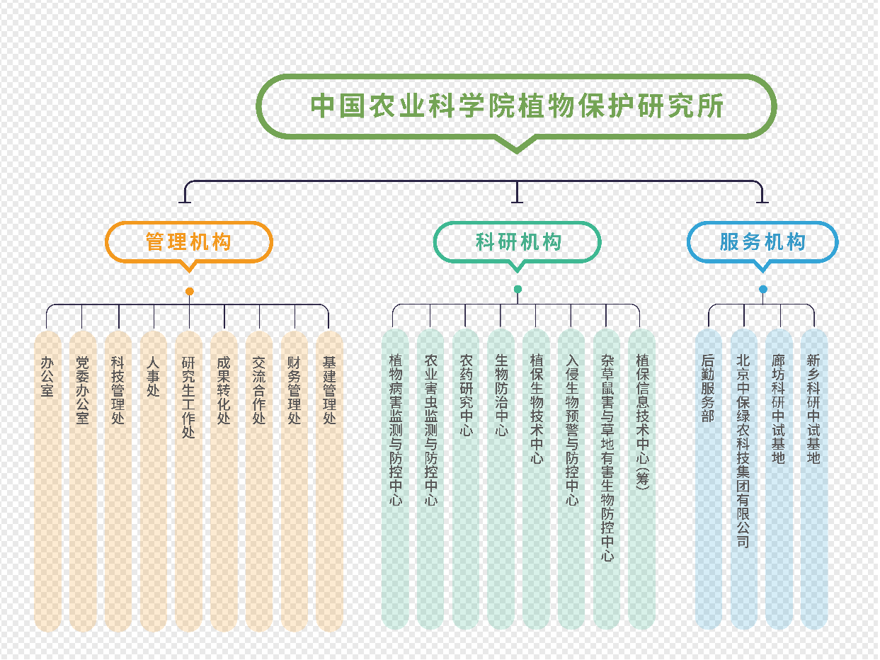 机构设置关系图  压缩.png